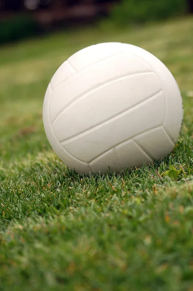 Groene volleybal — Stockfoto