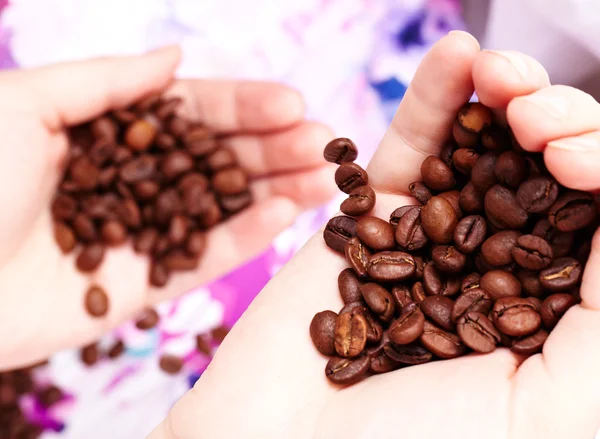 Chicchi di caffè in mani — Foto Stock