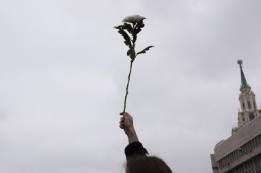 MOSCOW - DECEMBER 24: Hand with a flower over the sky.120 thousa clipart