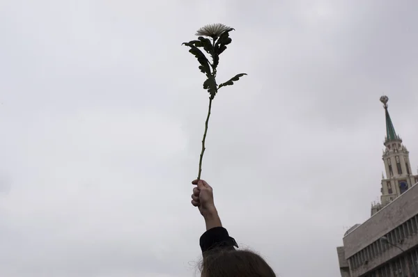 stock image MOSCOW - DECEMBER 24: Hand with a flower over the sky.120 thousa
