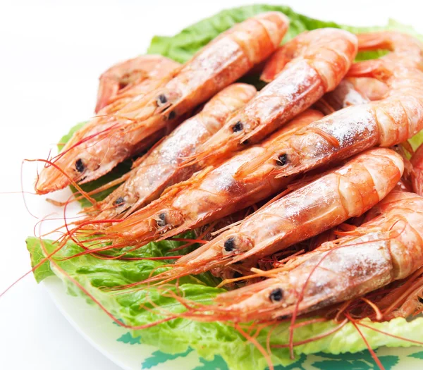 Red shrimp — Stock Photo, Image