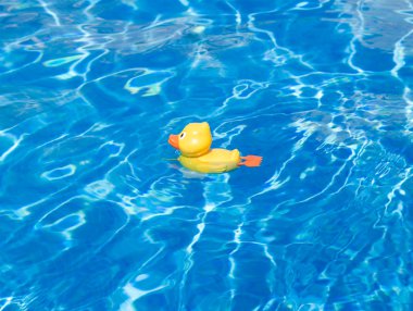 The duckling in water clipart