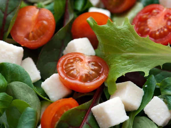Marul salatası — Stok fotoğraf