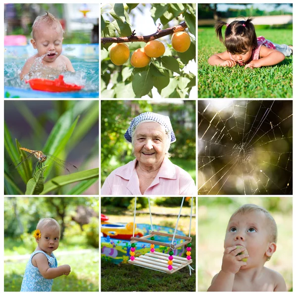 Different Summer photos — Stock Photo, Image