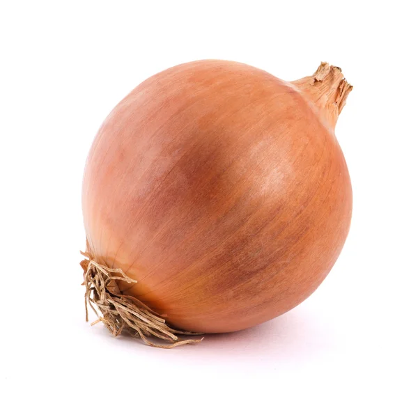 One onion on a white background — Stock Photo, Image