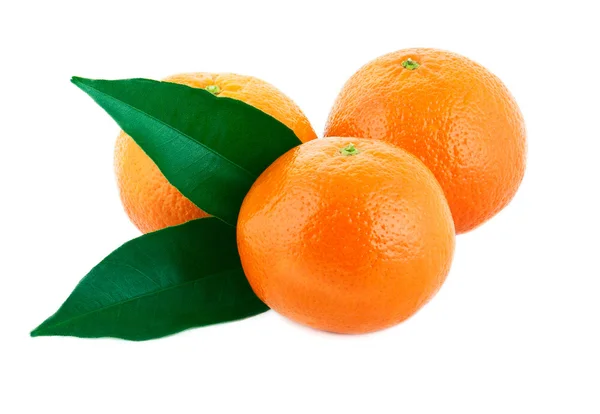 Tre mandarin - Stock-foto