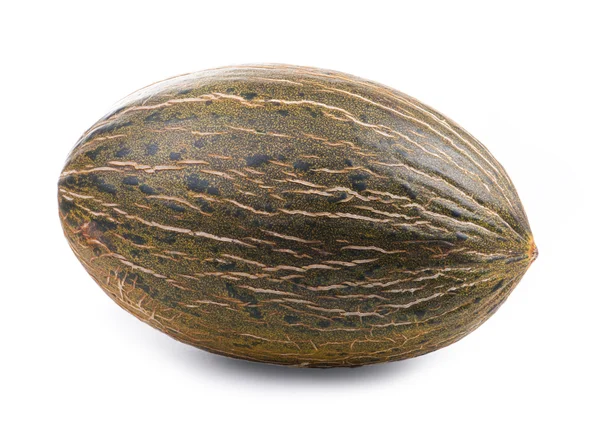 Ripe melon on a white background — Stock Photo, Image