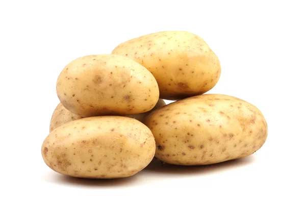 stock image Potato