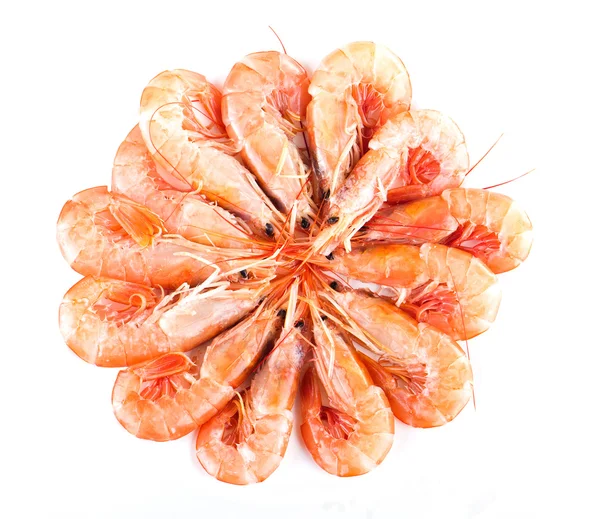 Fresh, uncooked shrimp arranged in a circle — Stock Photo, Image