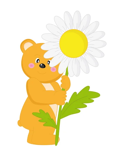 熊与一朵花 — 图库矢量图片