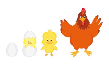 Family of chickens clipart