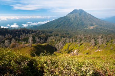 Gunung Merapi Volcano clipart