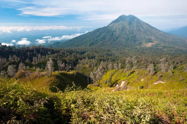 Hegy Merapi vulkán — Stock Fotó