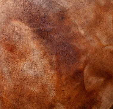 Natural qualitative leather with stains clipart