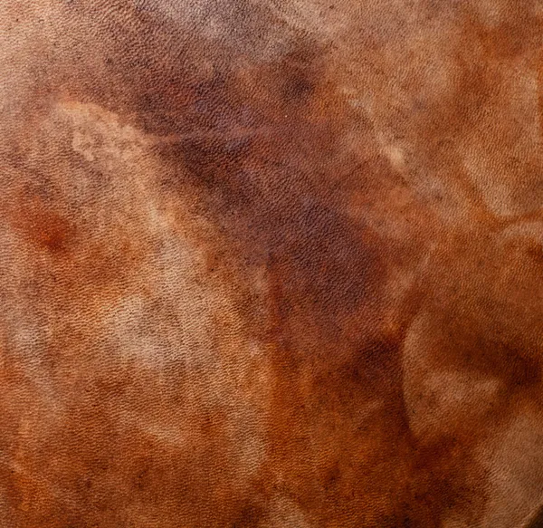 Natural qualitative leather with stains — Stock Photo, Image