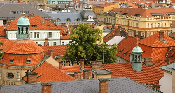 Árbol entre los tejados de Praga — Foto de Stock
