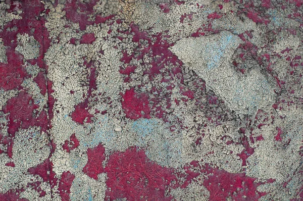 Kırık peeling boya duvar — Stok fotoğraf