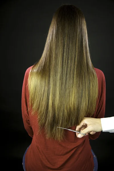 Hairdresser cuts long ruined hair — Stock Photo, Image