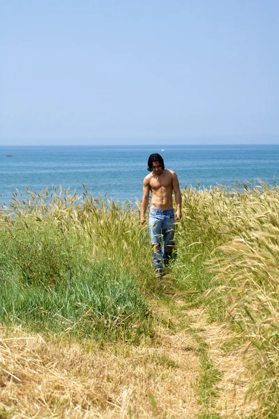 Modelo masculino muscular na praia andando em um campo de milho — Fotografia de Stock
