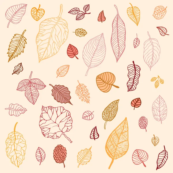 Conjunto de hojas de otoño — Vector de stock