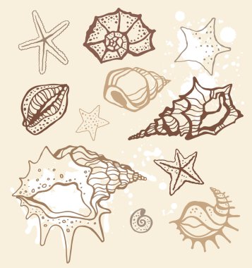 Sea collection. Hand drawn vector illustration clipart