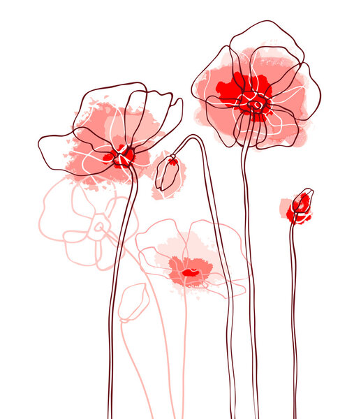 Red poppies on a white background