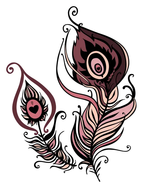 Belle plume de paon. illustration vectorielle — Image vectorielle