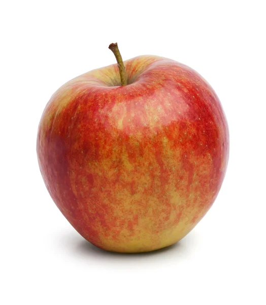 大規模なカラフルな熟したリンゴ 1 個 — Stock fotografie