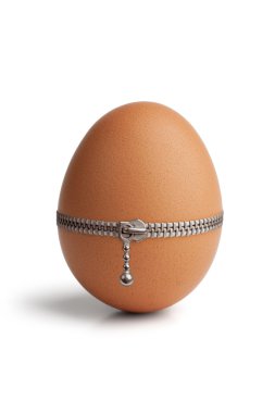 Egg, buttoned with a zipper clipart