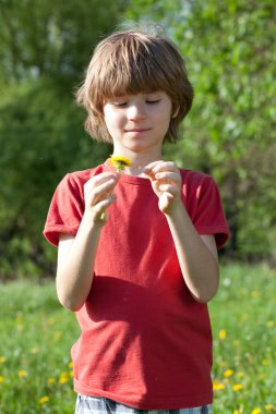 Boy with dandelion in the hands of clipart