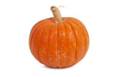 Small orange pumpkins ripe trim clipart