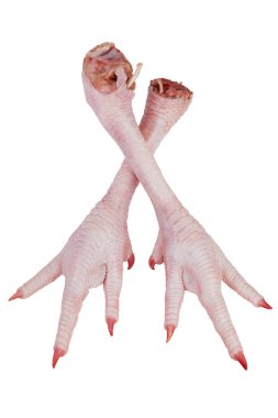 Two crossed turkey legs with claws clipart