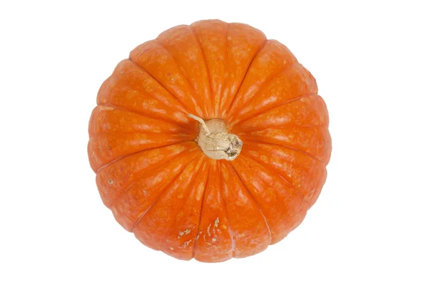 Relief little pumpkin with a tail — Stock Photo, Image