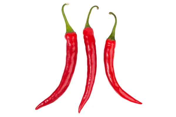 Three bright red chili peppers — Stock Photo, Image