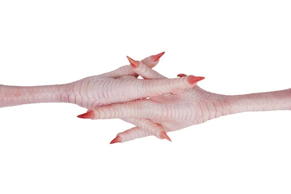 Cruzados entre sí patas de pollo rosa con garras — Foto de Stock