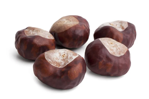 A few ripe brown dried chestnuts — Stock Photo, Image