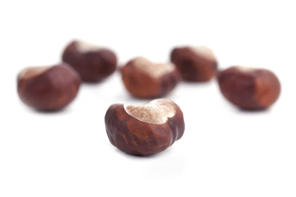 One chestnut brown mellow compared to other — Stock Photo, Image