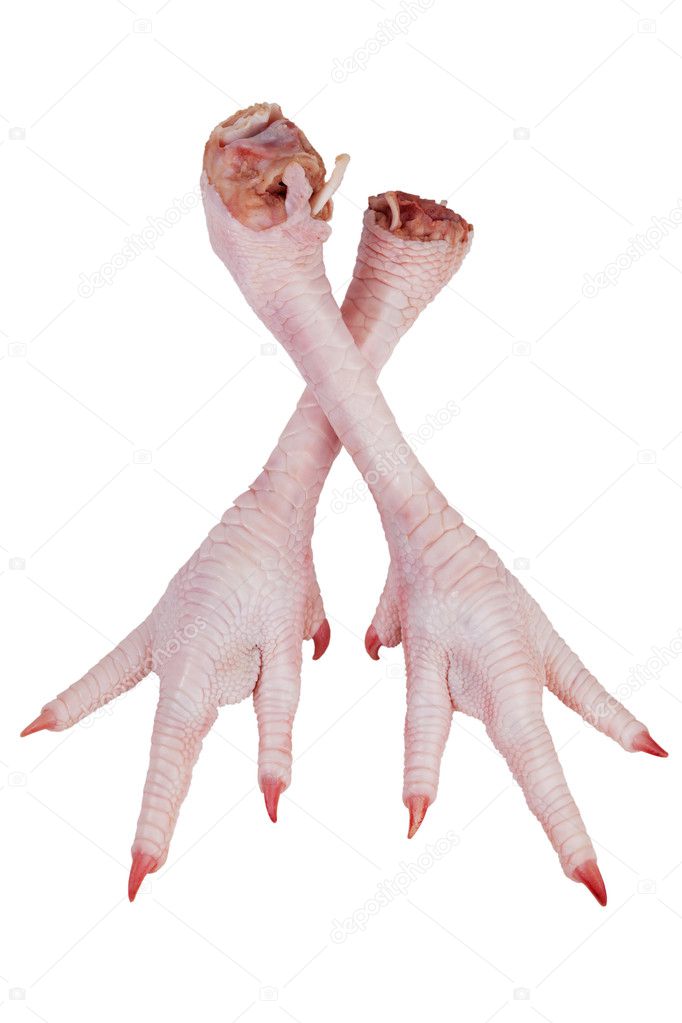 Two crossed turkey legs with claws