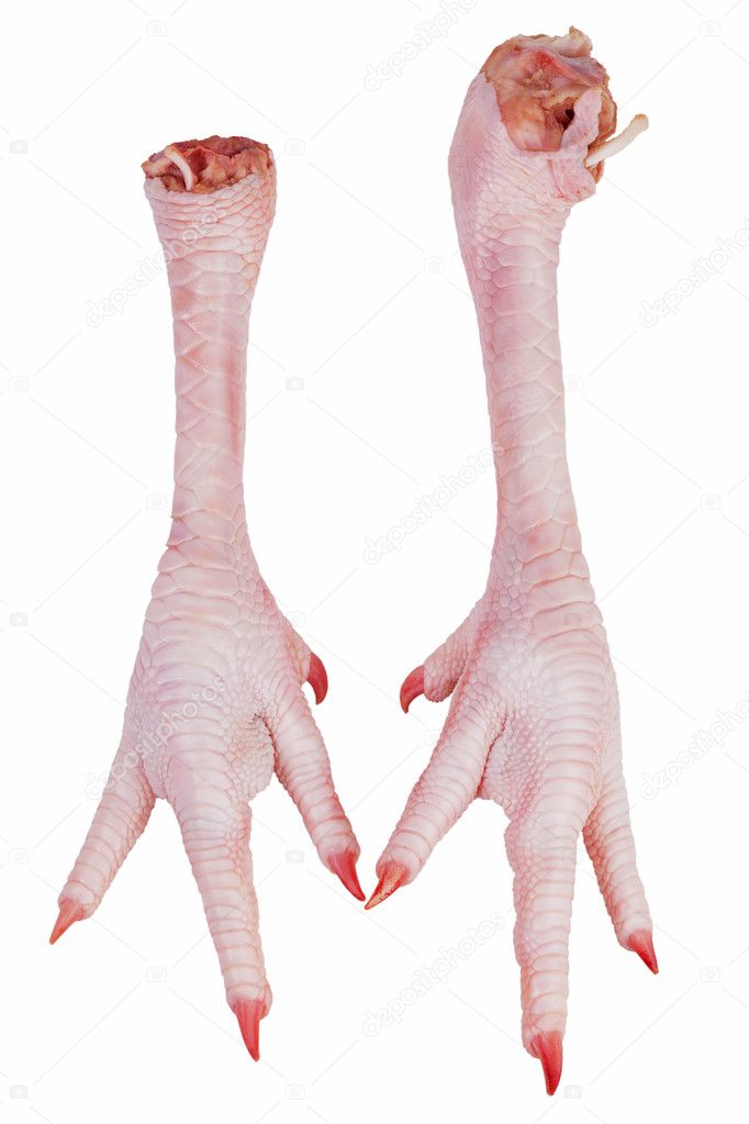 Dangling raw chicken legs with claws