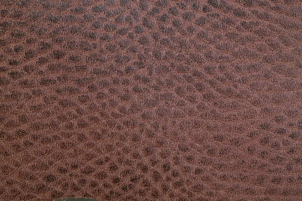 stock image Piece of beef brown leather