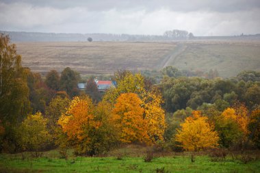 regenachtige herfst landschap