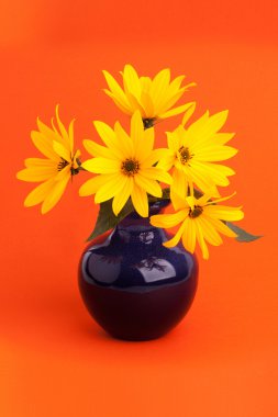 A bouquet of beautiful flowers in ceramic vase clipart