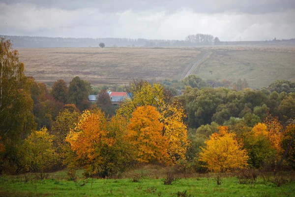 Regenachtige herfst landschap — Stockfoto