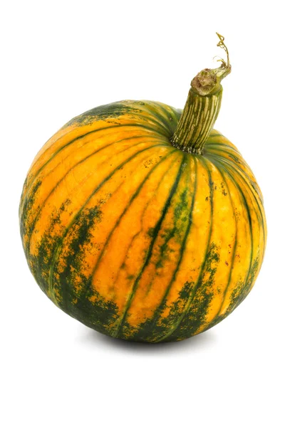 A small pumpkin — Stock Photo, Image