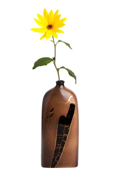 黄色花瓶中的鲜花 — 图库照片