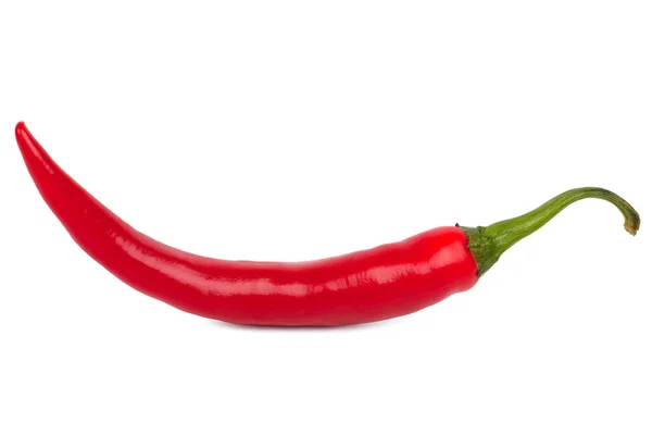 Gyönyörű érett piros chili paprika — Stock Fotó