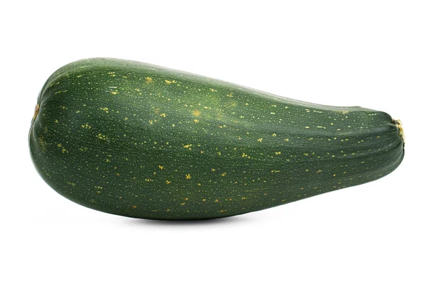 The long green zucchini — Stock Photo, Image