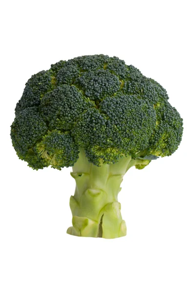 Green ripe broccoli — Stock Photo, Image