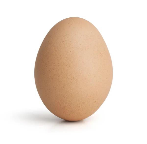 Ein Ei aufrecht stehen — Stockfoto