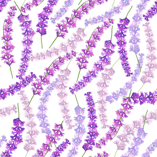 Lavendel naadloze patroon — Stockvector